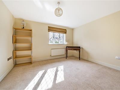 Picture 13